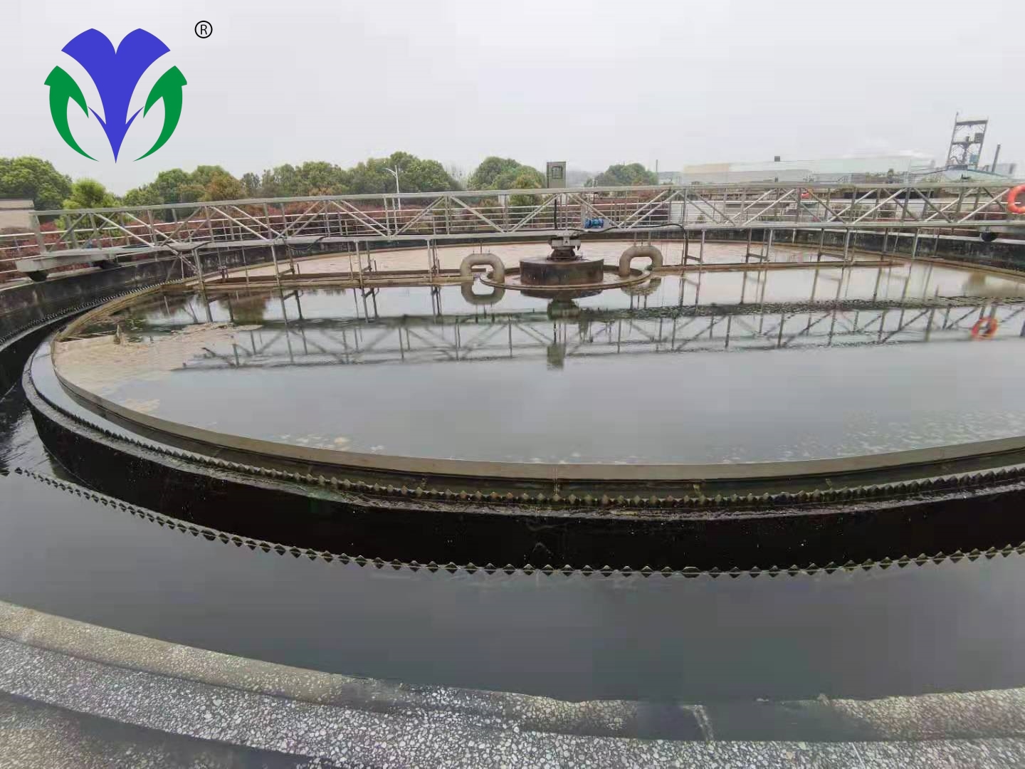 ɳ����ĳѡ��