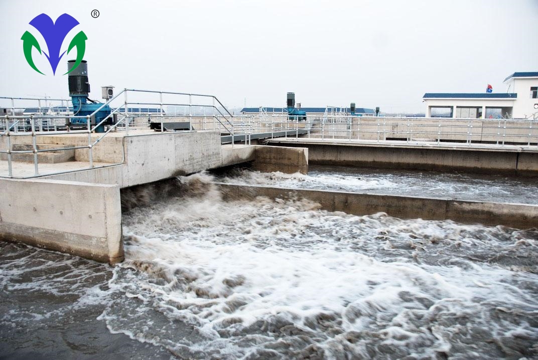 ������ĳ��ֽ��