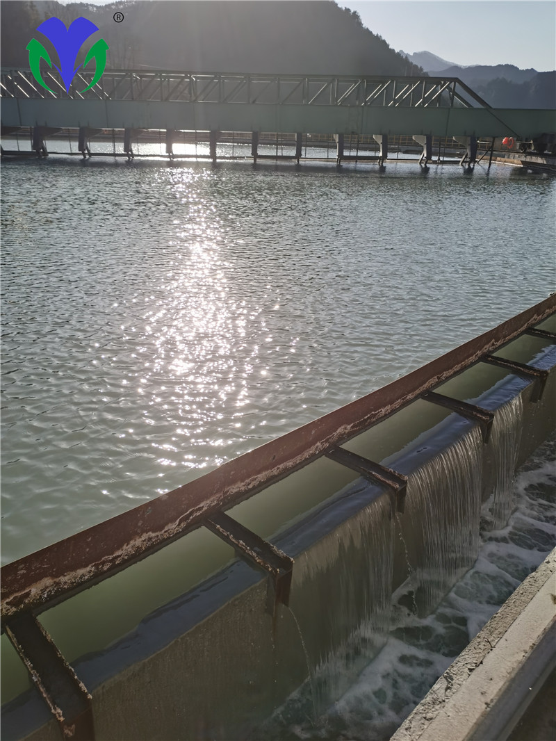 ������ĳѡ��