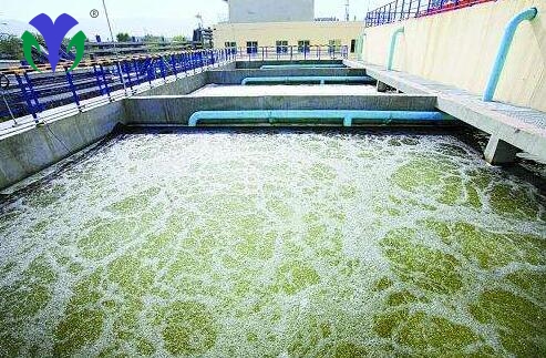 ������ĳ��ֽ��